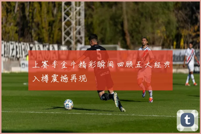 上赛季金牛精彩瞬间回顾五大经典入樽震撼再现